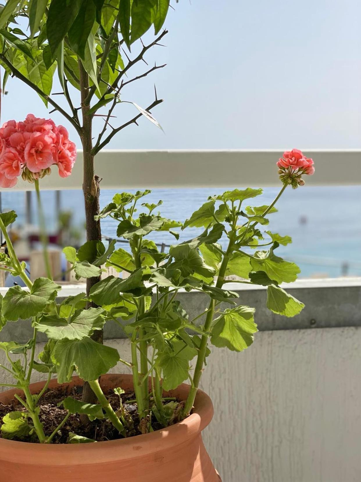 Geo & Art Boutique Hotel Himara Bagian luar foto